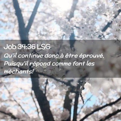 Picture 02 - Job 34:36 LSG - Qu'il continue donc à être éprouvé, Puisqu'il - Bible Verse Picture