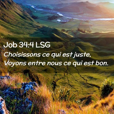 Picture 02 - Job 34:4 LSG - Choisissons ce qui est juste, Voyons entre nous - Bible Verse Picture