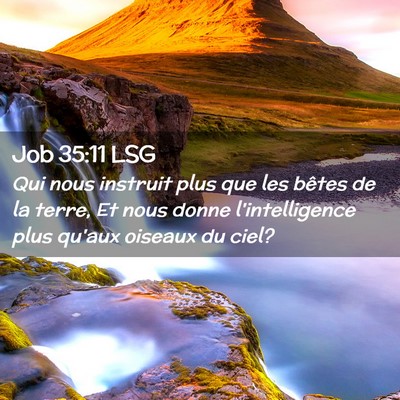 Picture 02 - Job 35:11 LSG - Qui nous instruit plus que les bêtes de la - Bible Verse Picture