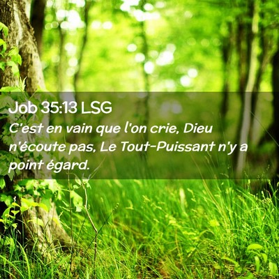 Picture 02 - Job 35:13 LSG - C'est en vain que l'on crie, Dieu n'écoute pas, - Bible Verse Picture