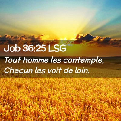 Picture 02 - Job 36:25 LSG - Tout homme les contemple, Chacun les voit de - Bible Verse Picture