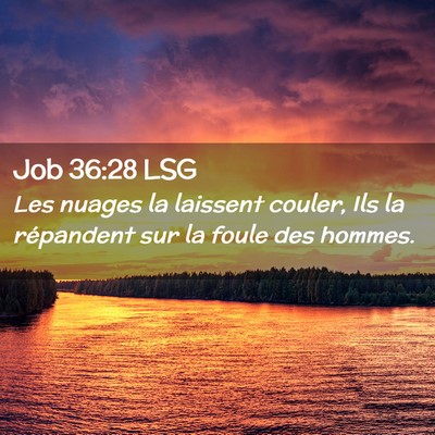 Picture 02 - Job 36:28 LSG - Les nuages la laissent couler, Ils la répandent - Bible Verse Picture