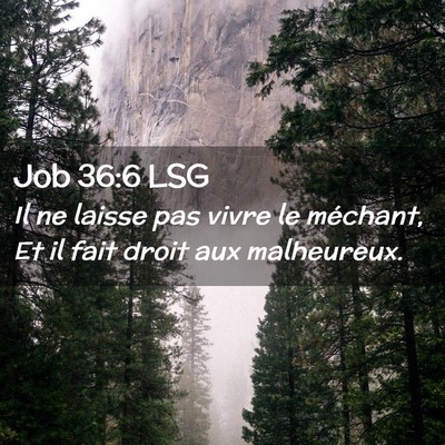Picture 02 - Job 36:6 LSG - Il ne laisse pas vivre le méchant, Et il fait - Bible Verse Picture