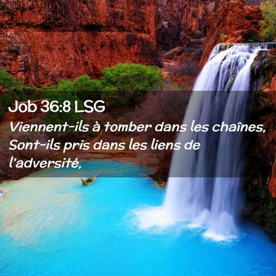 Picture 02 - Job 36:8 LSG - Viennent-ils à tomber dans les chaînes, - Bible Verse Picture