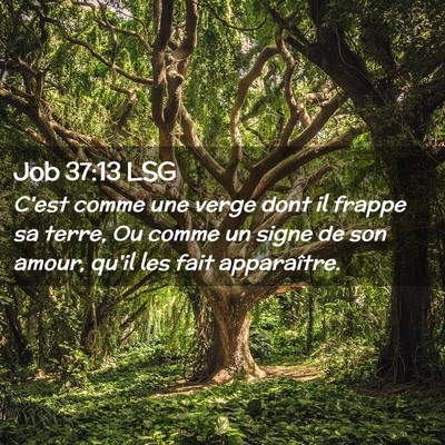 Picture 02 - Job 37:13 LSG - C'est comme une verge dont il frappe sa terre, Ou - Bible Verse Picture
