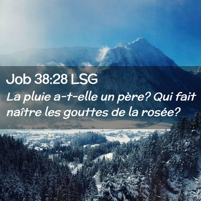 Picture 02 - Job 38:28 LSG - La pluie a-t-elle un père? Qui fait naître les - Bible Verse Picture