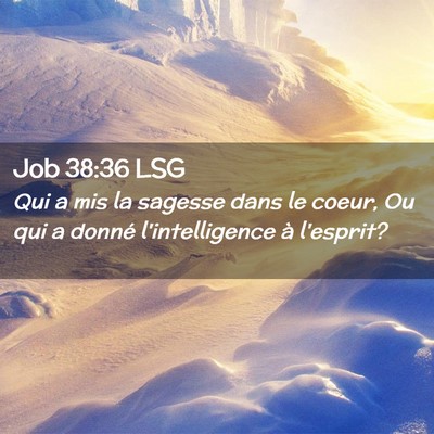 Picture 02 - Job 38:36 LSG - Qui a mis la sagesse dans le coeur, Ou qui a - Bible Verse Picture