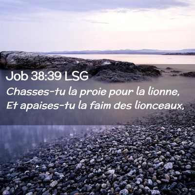 Picture 02 - Job 38:39 LSG - Chasses-tu la proie pour la lionne, Et apaises-tu - Bible Verse Picture