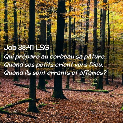 Picture 02 - Job 38:41 LSG - Qui prépare au corbeau sa pâture, Quand ses - Bible Verse Picture
