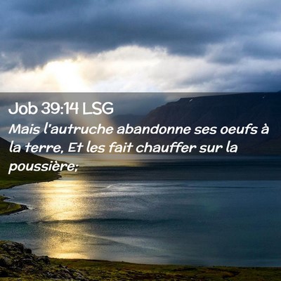 Picture 02 - Job 39:14 LSG - Mais l'autruche abandonne ses oeufs à la terre, - Bible Verse Picture