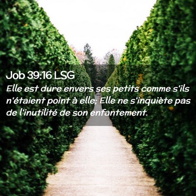 Picture 02 - Job 39:16 LSG - Elle est dure envers ses petits comme s'ils - Bible Verse Picture