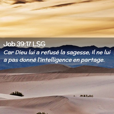 Picture 02 - Job 39:17 LSG - Car Dieu lui a refusé la sagesse, Il ne lui a - Bible Verse Picture