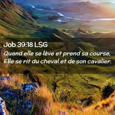 Picture 02 - Job 39:18 LSG - Quand elle se lève et prend sa course, Elle se - Bible Verse Picture