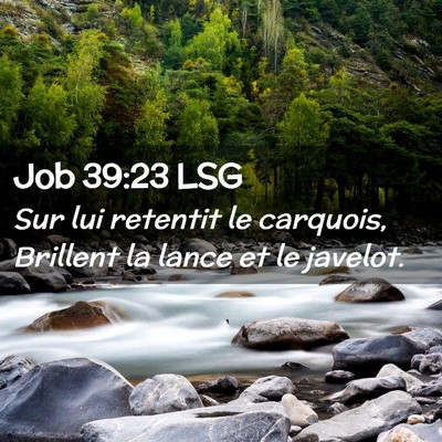 Picture 02 - Job 39:23 LSG - Sur lui retentit le carquois, Brillent la lance - Bible Verse Picture
