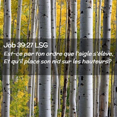 Picture 02 - Job 39:27 LSG - Est-ce par ton ordre que l'aigle s'élève, Et - Bible Verse Picture