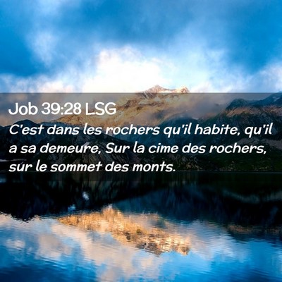 Picture 02 - Job 39:28 LSG - C'est dans les rochers qu'il habite, qu'il a sa - Bible Verse Picture