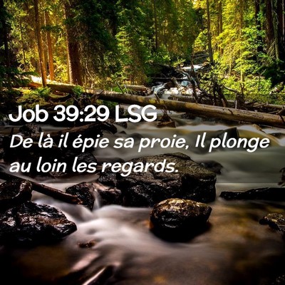 Picture 02 - Job 39:29 LSG - De là il épie sa proie, Il plonge au loin les - Bible Verse Picture