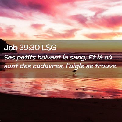 Picture 02 - Job 39:30 LSG - Ses petits boivent le sang; Et là où sont des - Bible Verse Picture
