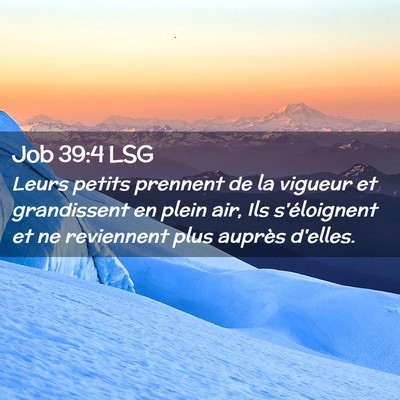 Picture 02 - Job 39:4 LSG - Leurs petits prennent de la vigueur et - Bible Verse Picture