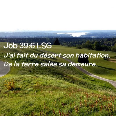 Picture 02 - Job 39:6 LSG - J'ai fait du désert son habitation, De la terre - Bible Verse Picture