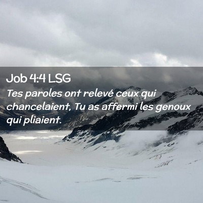 Picture 02 - Job 4:4 LSG - Tes paroles ont relevé ceux qui chancelaient, Tu - Bible Verse Picture