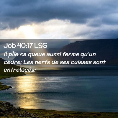 Picture 02 - Job 40:17 LSG - Il plie sa queue aussi ferme qu'un cèdre; Les - Bible Verse Picture
