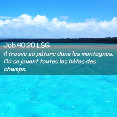 Picture 02 - Job 40:20 LSG - Il trouve sa pâture dans les montagnes, Où se - Bible Verse Picture
