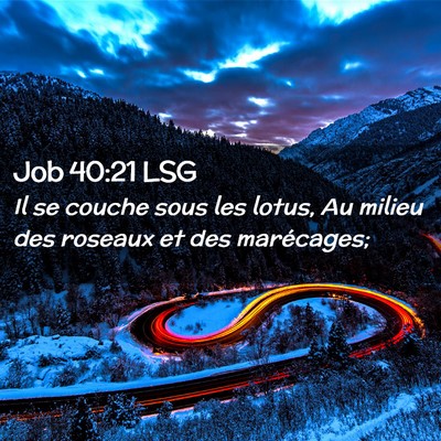 Picture 02 - Job 40:21 LSG - Il se couche sous les lotus, Au milieu des - Bible Verse Picture