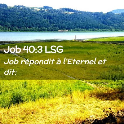 Picture 02 - Job 40:3 LSG - Job répondit à l'Eternel et - Bible Verse Picture