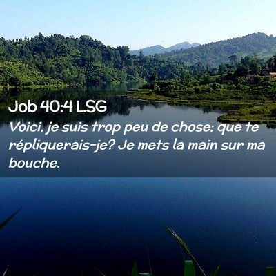 Picture 02 - Job 40:4 LSG - Voici, je suis trop peu de chose; que te - Bible Verse Picture
