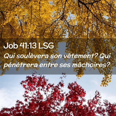 Picture 02 - Job 41:13 LSG - Qui soulèvera son vêtement? Qui pénétrera - Bible Verse Picture