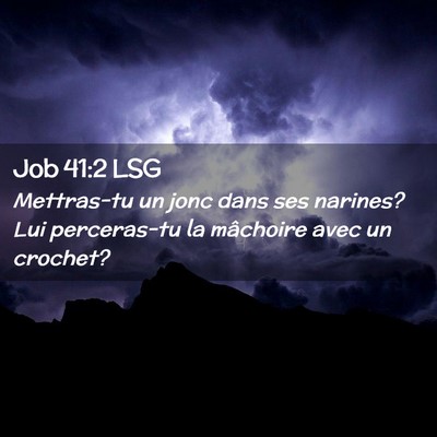 Picture 02 - Job 41:2 LSG - Mettras-tu un jonc dans ses narines? Lui - Bible Verse Picture