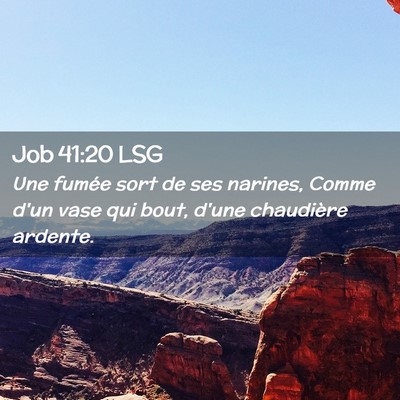 Picture 02 - Job 41:20 LSG - Une fumée sort de ses narines, Comme d'un vase - Bible Verse Picture