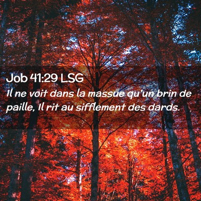 Picture 02 - Job 41:29 LSG - Il ne voit dans la massue qu'un brin de paille, - Bible Verse Picture