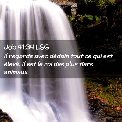 Picture 02 - Job 41:34 LSG - Il regarde avec dédain tout ce qui est élevé, - Bible Verse Picture