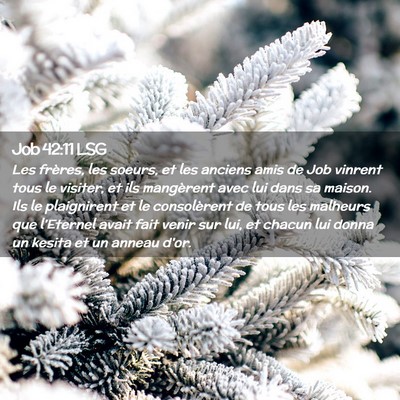 Picture 02 - Job 42:11 LSG - Les frères, les soeurs, et les anciens amis de - Bible Verse Picture