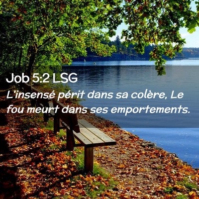 Picture 02 - Job 5:2 LSG - L'insensé périt dans sa colère, Le fou meurt - Bible Verse Picture