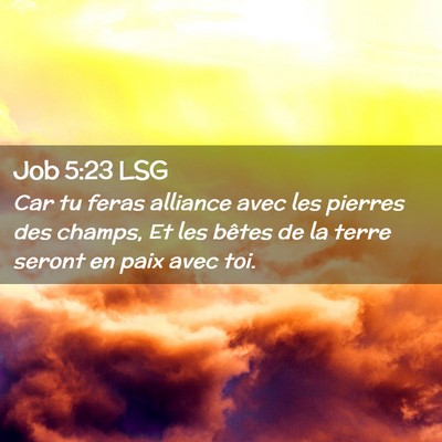 Picture 02 - Job 5:23 LSG - Car tu feras alliance avec les pierres des - Bible Verse Picture