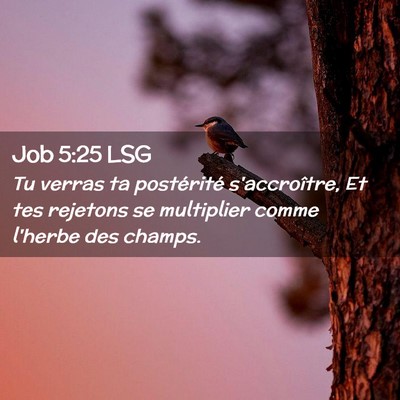 Picture 02 - Job 5:25 LSG - Tu verras ta postérité s'accroître, Et tes - Bible Verse Picture