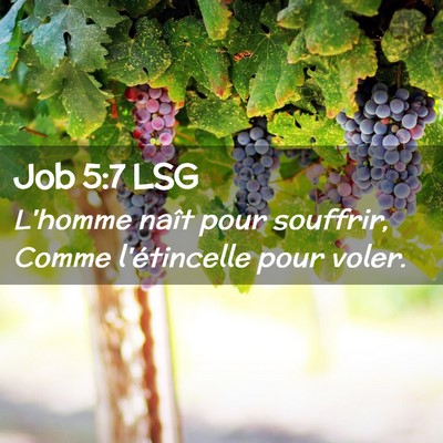 Picture 02 - Job 5:7 LSG - L'homme naît pour souffrir, Comme l'étincelle - Bible Verse Picture