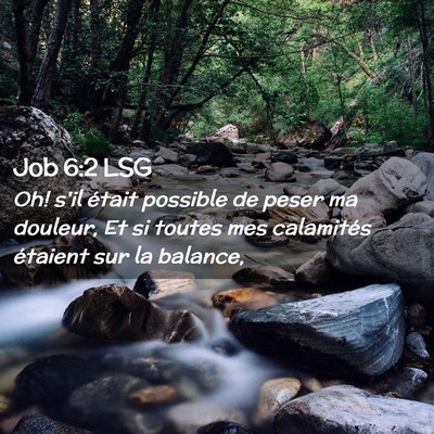 Picture 02 - Job 6:2 LSG - Oh! s'il était possible de peser ma douleur, Et - Bible Verse Picture