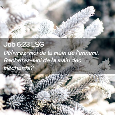 Picture 02 - Job 6:23 LSG - Délivrez-moi de la main de l'ennemi, - Bible Verse Picture