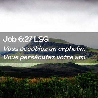 Picture 02 - Job 6:27 LSG - Vous accablez un orphelin, Vous persécutez votre - Bible Verse Picture
