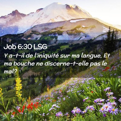 Picture 02 - Job 6:30 LSG - Y a-t-il de l'iniquité sur ma langue, Et ma - Bible Verse Picture