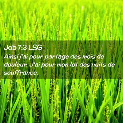Picture 02 - Job 7:3 LSG - Ainsi j'ai pour partage des mois de douleur, J'ai - Bible Verse Picture
