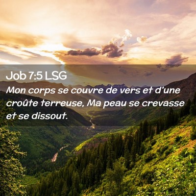 Picture 02 - Job 7:5 LSG - Mon corps se couvre de vers et d'une croûte - Bible Verse Picture
