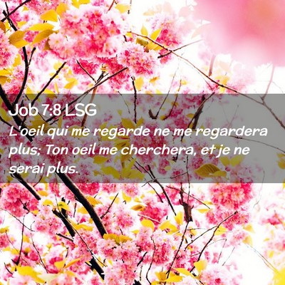 Picture 02 - Job 7:8 LSG - L'oeil qui me regarde ne me regardera plus; Ton - Bible Verse Picture