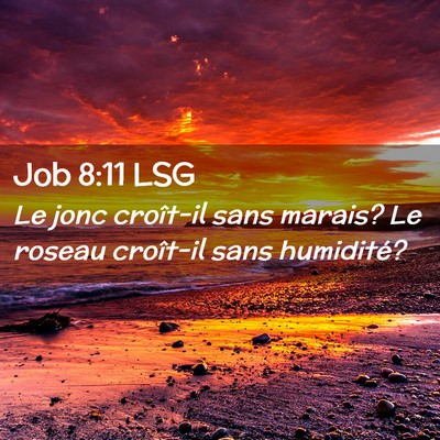Picture 02 - Job 8:11 LSG - Le jonc croît-il sans marais? Le roseau - Bible Verse Picture