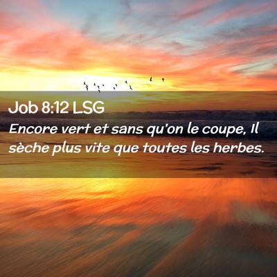 Picture 02 - Job 8:12 LSG - Encore vert et sans qu'on le coupe, Il sèche - Bible Verse Picture
