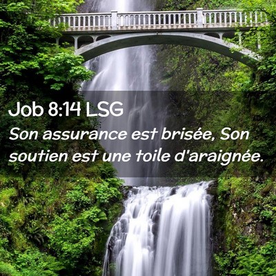 Picture 02 - Job 8:14 LSG - Son assurance est brisée, Son soutien est une - Bible Verse Picture
